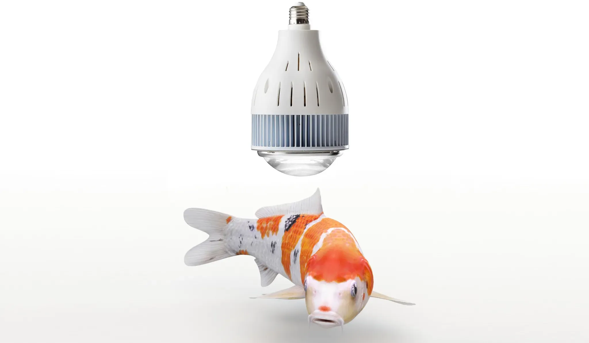 flexBEAM Koi Edition LED-Strahler  Mit E27 Fassung + Aufhängung  mit Reflektor 120°