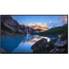 Dell UltraSharp U2424H - ohne Standfuß - LED-Monitor - Full HD (1080p) - 61 cm (24")