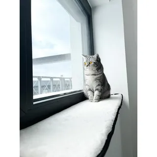 Lebon Fensterbankauflage für Katzen 90 x 25 cm Katzenbett