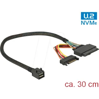 DeLock Internes SAS-Kabel (0.30 (M) Netzwerkkabel