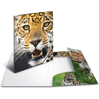 A3 leopard