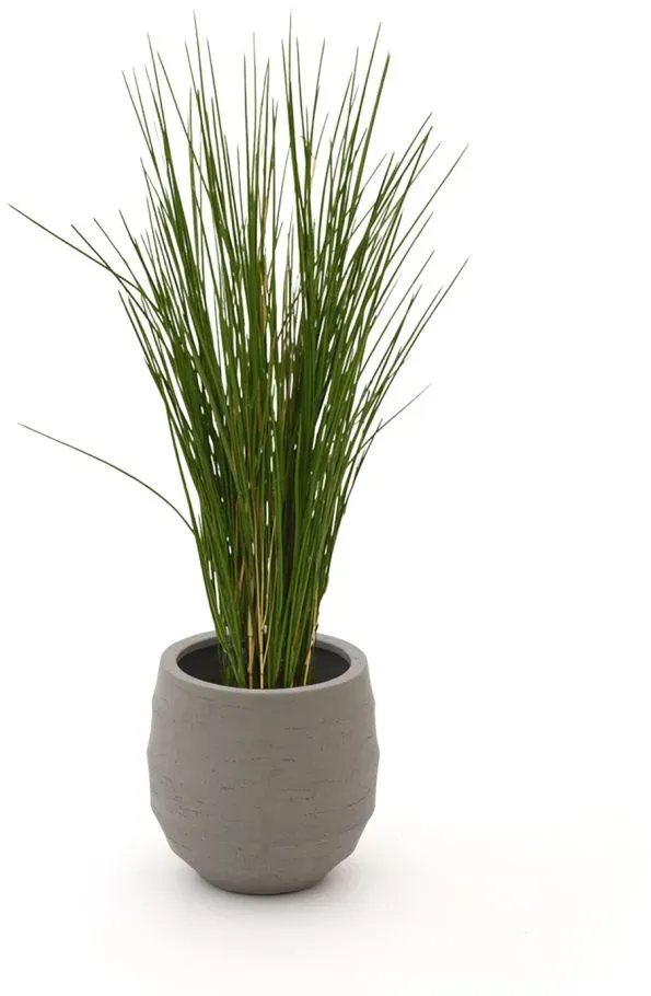 Designplants/Luca Lifestyle Gras Kunstpflanze (h:80 cm) mit Bordo Balloon Blumentopf