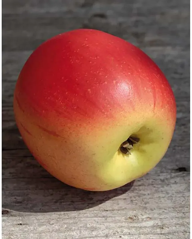 Künstlicher Apfel, 8 cm, rot-gelb