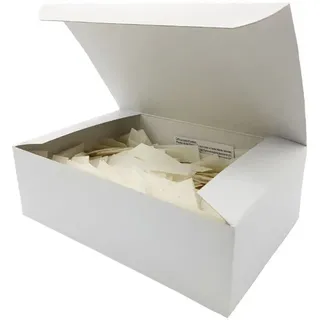 Holthaus Medical Wundpflaster YPSIPOR Injektionspflaster, 2,0 x 6 cm, 250 Stück Vlies -