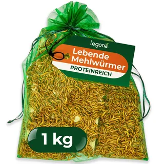 Legona Mehlwürmer lebend 1 kg - Futterinsekten für Terrariumtiere und Hühner - Tenebrio Molitor Larven - In Thermobox verpackt, kühl lagerbar