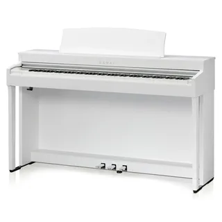 KAWAI CN301