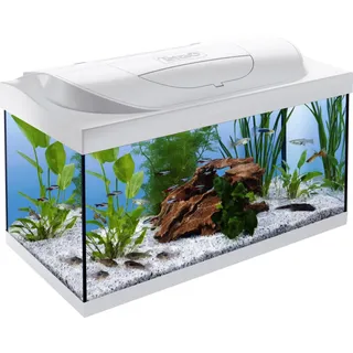 Tetra Aquarium Starter Line LED 54 L weiß