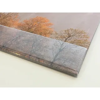 Schreibtischunterlage "Nebelwald" aus Papier | 25 Blatt DIN A2 | optional mit transparenter Schutzleiste | mit extra Kalenderblatt (mit transparenter Schutzleiste)