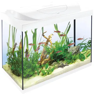 Tetra Aquarium Starter Line LED 80 L weiß