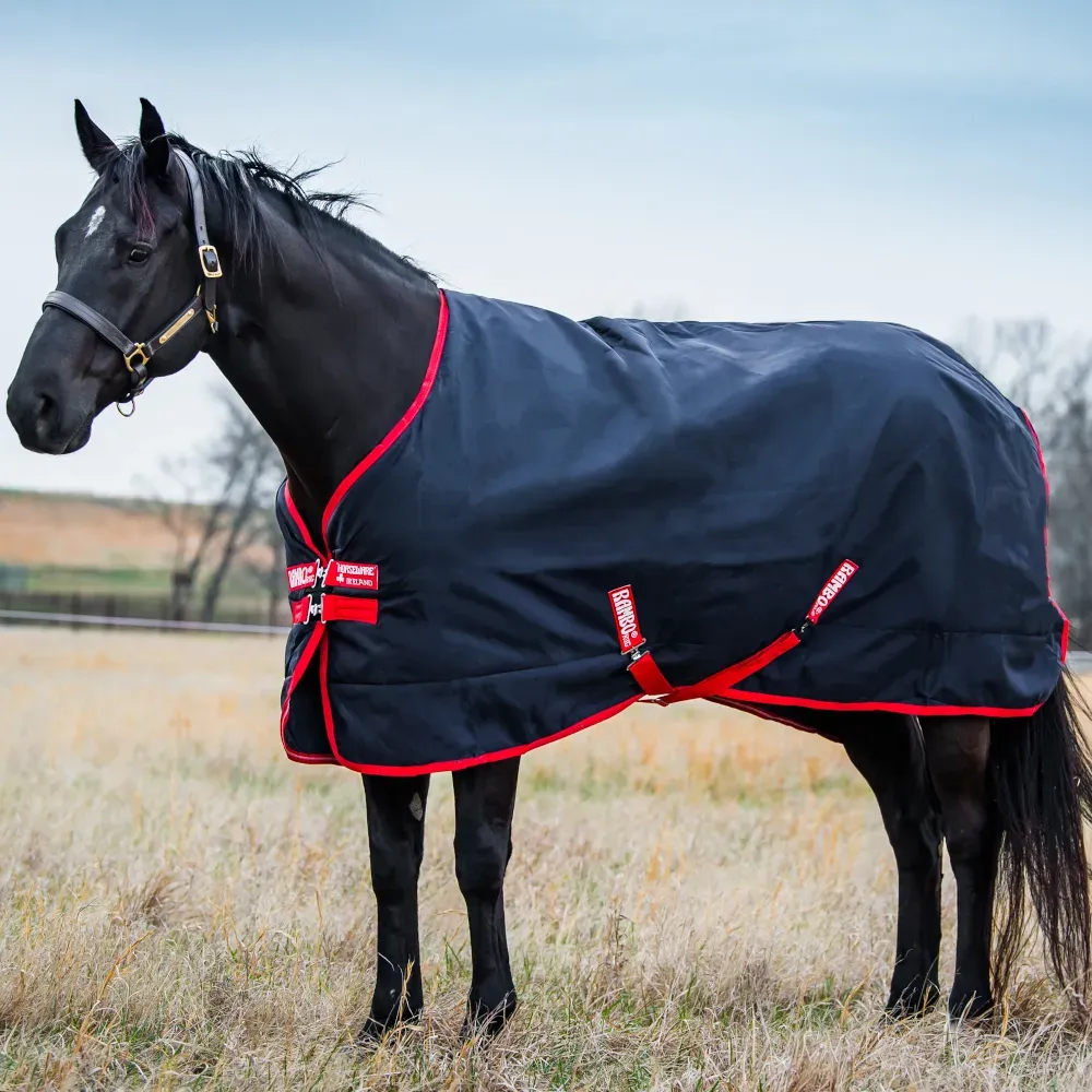 Horseware Rambo Original Turnout Medium 200g - Navy/Red, 125