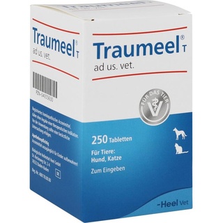 Heel Traumeel T 250 Tabl.