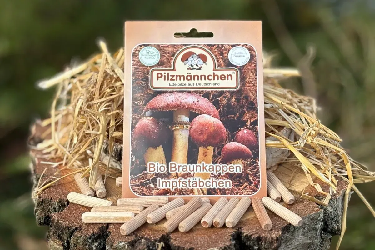 Braunkappen-Impfstäbchen BIO