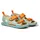 Hase 21