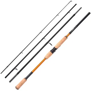 Shimano Fishing Shimano STC AX Spinning 2,70m 20-60g Reiserute