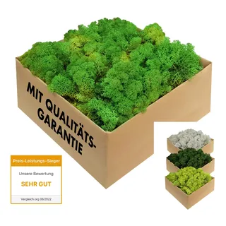 GJS Islandmoos - konserviertes Moos zum Basteln, Deko & DIY für künstliche Bilder, Pflanzen-Wand, Kunst, Modellbau sowie Oster- (Gras, Nest) & Weihnachtsdeko (Krippe, Adventskranz) (laubgrün, 1 kg)