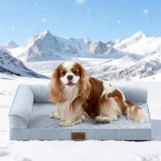 COZY KISS Kühlendes Hundebett Mittelgroße Hunde, Q-MAX>0.4 Orthopädisches Hundekorb mit Seiten, Hundesofa mit Abziehbarer Bezug & wasserdichte Innenlage, Weichhe Hundebetten, Blau, M(76x51x15 cm)