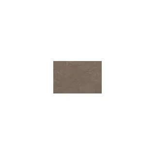 Corpet Linoleum - Linodesign - Beton grey - Pure