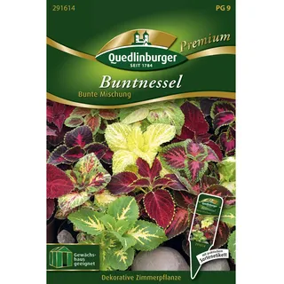 Quedlinburger Buntnessel ''Bunte Mischung''
