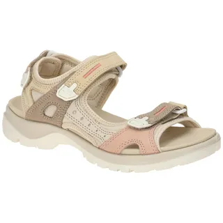 beige 36