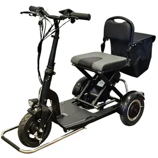 Vitalworxx Vital-Roller Elektromobil 1 St