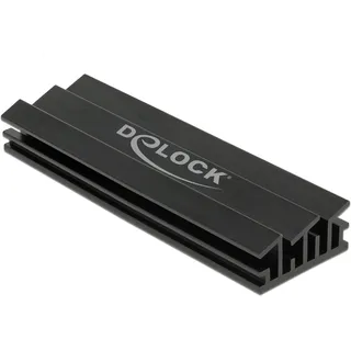 DeLock 18283 M.2 Modul schwarz
