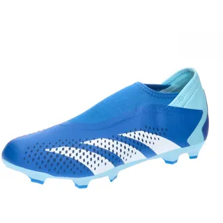 LL FG - 12