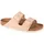 new beige 41
