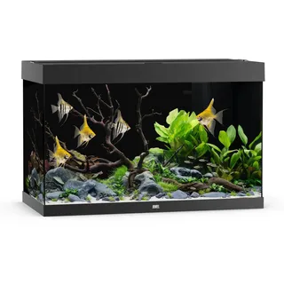 JUWEL AQUARIUM Rio 290 LED Schwarz