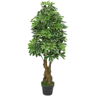 Lacers SMARAGDLINE Pflegeleichte künstliche Schefflera – Strahlenaralie 130cm, realistische Optik, Dekoration für Wohnzimmer, Balkon und Büroräume - pflegeleicht, langanhaltend ohne spezielle Pflege