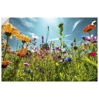 ARTland Wanddeko Wandtattoo selbstklebende Vinylfolie 90x60 cm Blumenbilder Blumenwiese Blüten Frühling Blumen Bunt U2KS