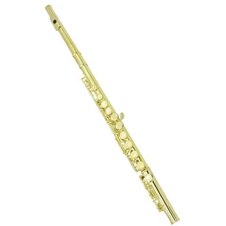 Professionelle Querflöte 16 Geschlossene, Offene Löcher, C-Taste, Querflöte, Konzertinstrument Mit Zubehör Für Studenten (Color : Gold)