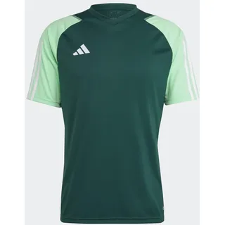 adidas Tiro 23 Competition Trikot - Team Dark Green / Beam Green - XS