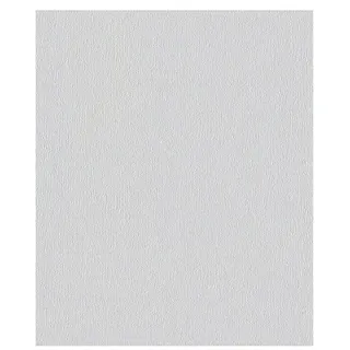 Erfurt Vliestapete Ready (304, Uni, 10,05 x 0,53 m)