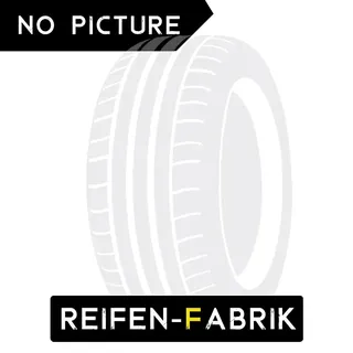 215/55 R17 94W