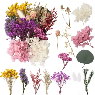 LAUMOE Trockenblumen, Getrocknete Blumen, Trockenblumen Zum Basteln Trockenblumen Klein Trockenblumen Set ​für Kunst DIY Harz Scrapbooking Handwerk Karten Machen (Stil 3)