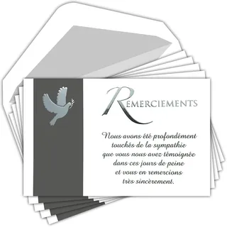 Afie C5272 Danksagungskarten Trauer Set 5 identische Karten Friedenstaube, silberner Text + 5 weiße Umschläge, Format 9 x 14 cm, Olivenzweig, Todeskraut, Deuil, Beutel