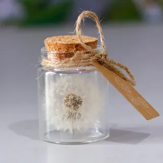 Shirene Echter Löwenzahn im Glas, Wunscherfüller - Echte Pusteblume im Glas - Handgemacht als Glücksbringer, Dankeschön, Geschenk, Aufmunterung - Geschenke für Frauen, Freundin, Geburtstag, für Mama