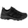 Black 40