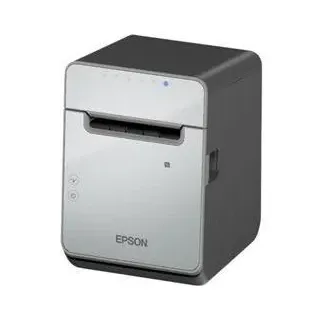 Epson TM-L100 (103A0): USB PRNT