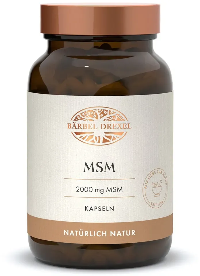 MSM KAPSELN 65 g
