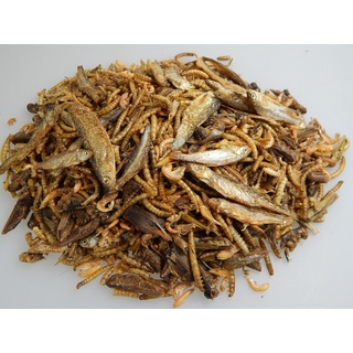 Reptilien- Futter 6 Sorten Mix Trockenfutter Schildkrötenfutter Reptilien Mix (1000 g)