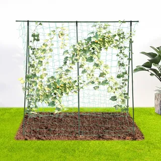 WEIGR Rankgitter Metall Edelstahl Rankhilfe Gurken Tomaten Himbeeren Bohnen Kürbis Spalier Kletterpflanzen Gurkenspalier Tomatenkäfig Pflanzenstütze Garten Balkon Hochbeet