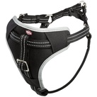 Auto-Geschirr Comfort M: 50-65 cm