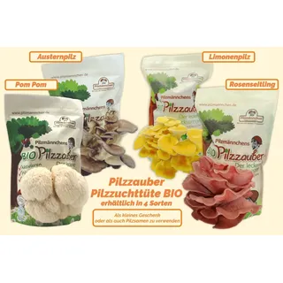 Pilzzauber Pilzzuchttüte Bio