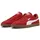 Candy Apple / Magic Rose 44