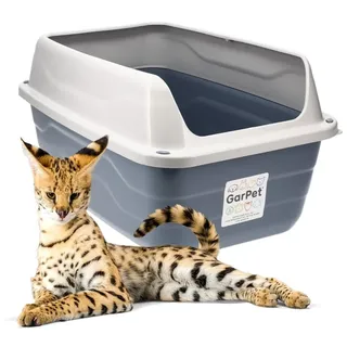 GarPet XXL Extra hohe Katzentoilette offene Katzenklo mit hohem Rand Jumbo Schalentoilette groß ohne Deckel hygenisch Katzen WC