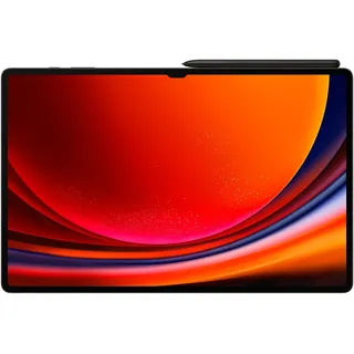 14.6" 512 GB Wi-Fi Graphite