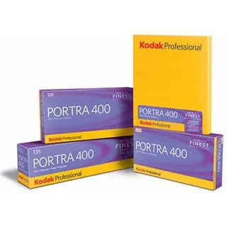 Kodak Portra 400 4x5 10 Blatt