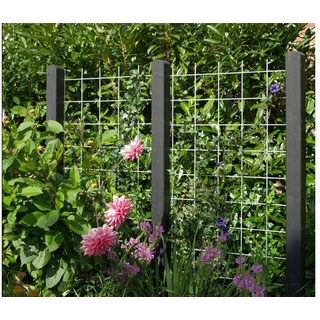 Stahl Rankgitter Blavand 90 x 180 cm - Metallspalier aus feuerverzinktem Stahl, Schwarz – Rankhilfe für Kletterpflanzen – Kletterhilfe für Pflanzen