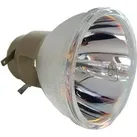 Neutral Beamerlampe (nur Leuchtmittel) für OPTOMA (ersetzt: SP.8MY01GC01 BL-FP230H) (GT750-XL), Beamerlampe